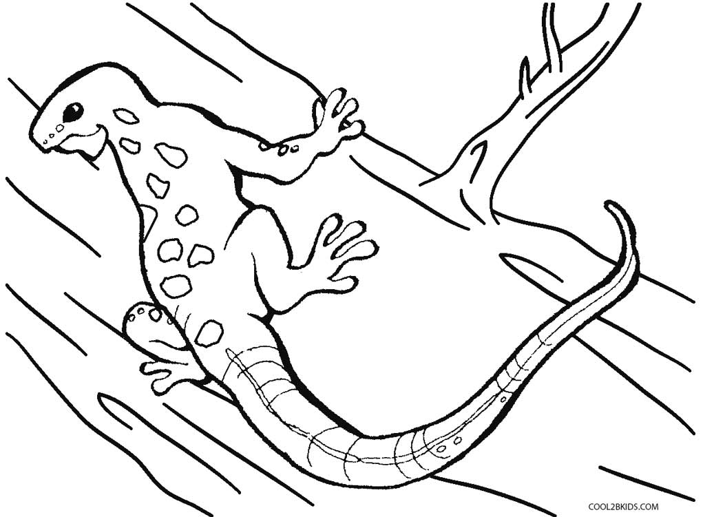 1037x751 Printable Lizard Coloring Pages For Kids