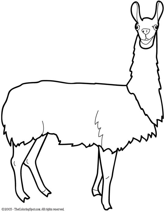 540x695 Llama Audio Stories For Kids Free Coloring Pages From Light Up