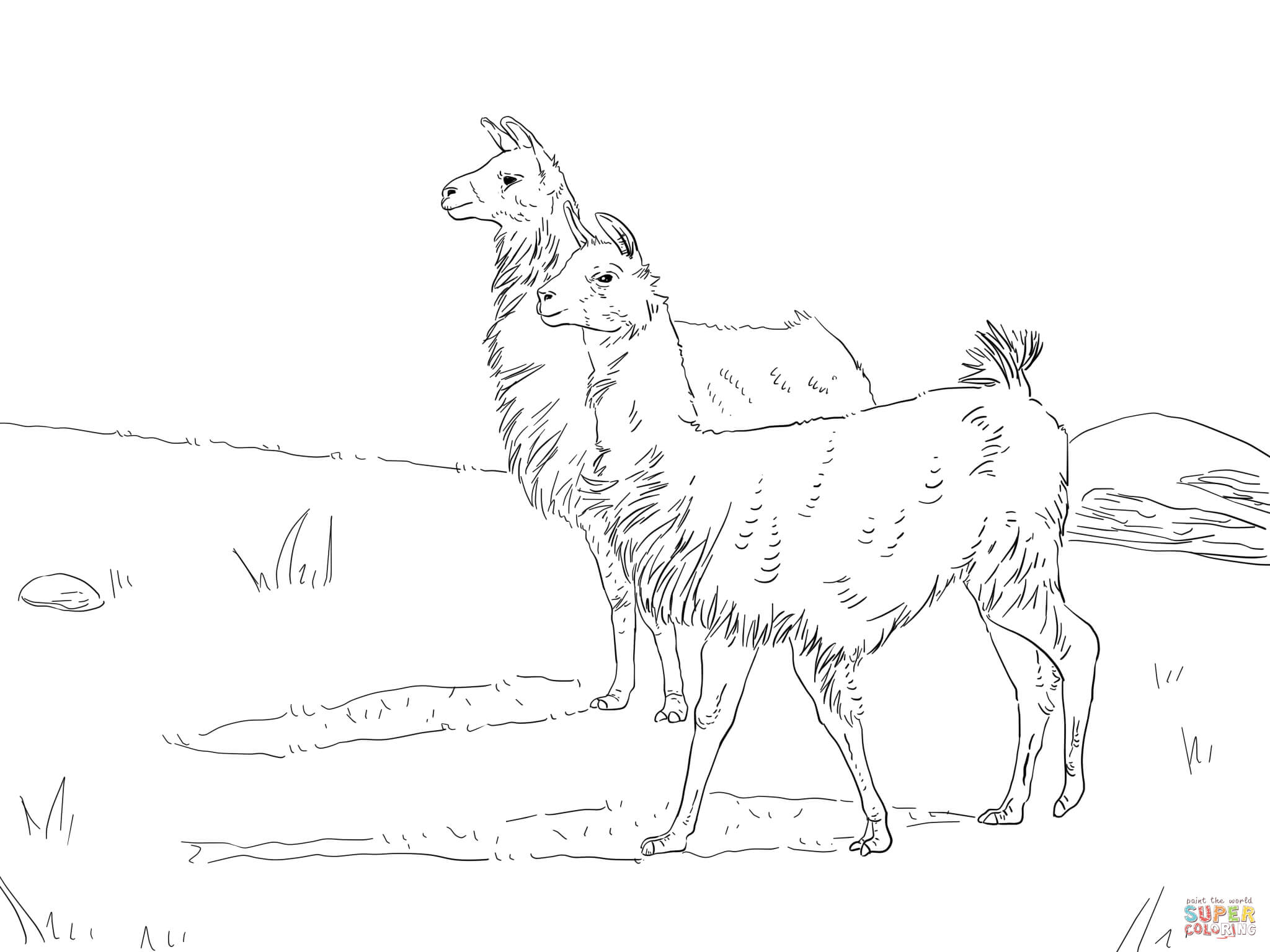 2048x1536 Llama Coloring Pages Free Coloring Pages Llama Coloring Pages New