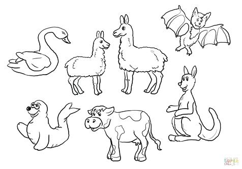 476x333 Llama Coloring Page Image Clipart Images Huge Rack Pics
