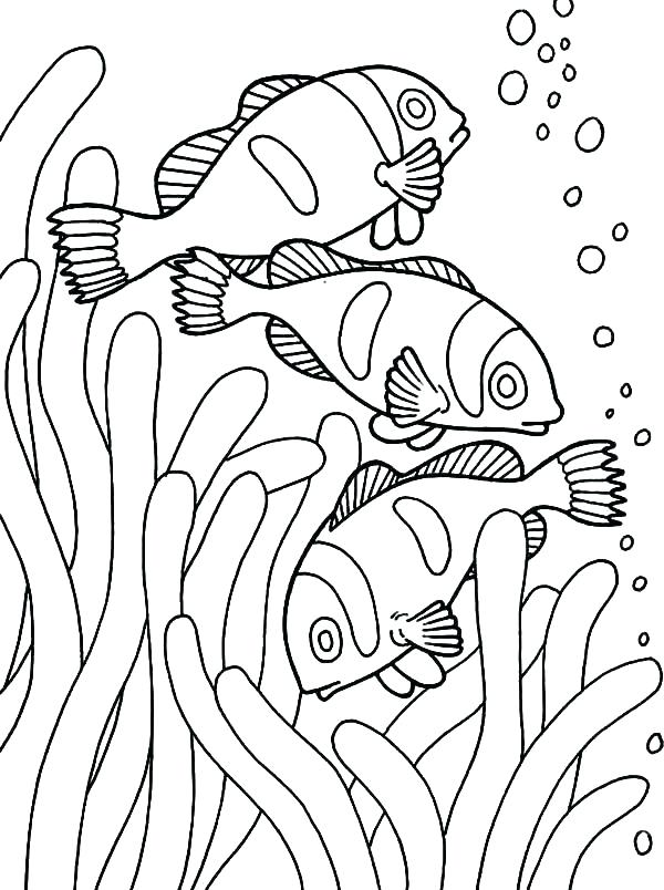 600x804 Loaves And Fishes Coloring Page Best Of Goldfish Coloring Page