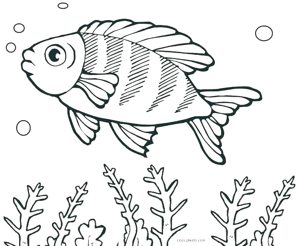 970x794 Betta Fish Coloring Pages