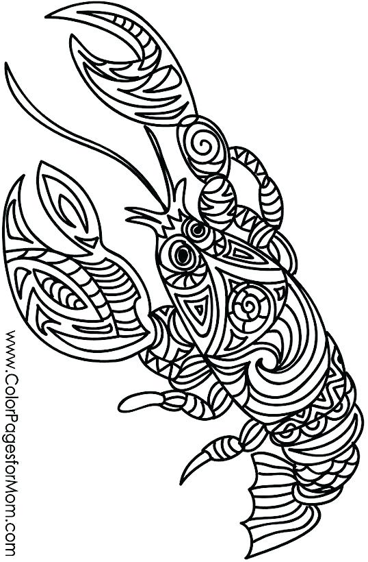 538x820 Lobster Coloring Page Best Images On Coloring Books