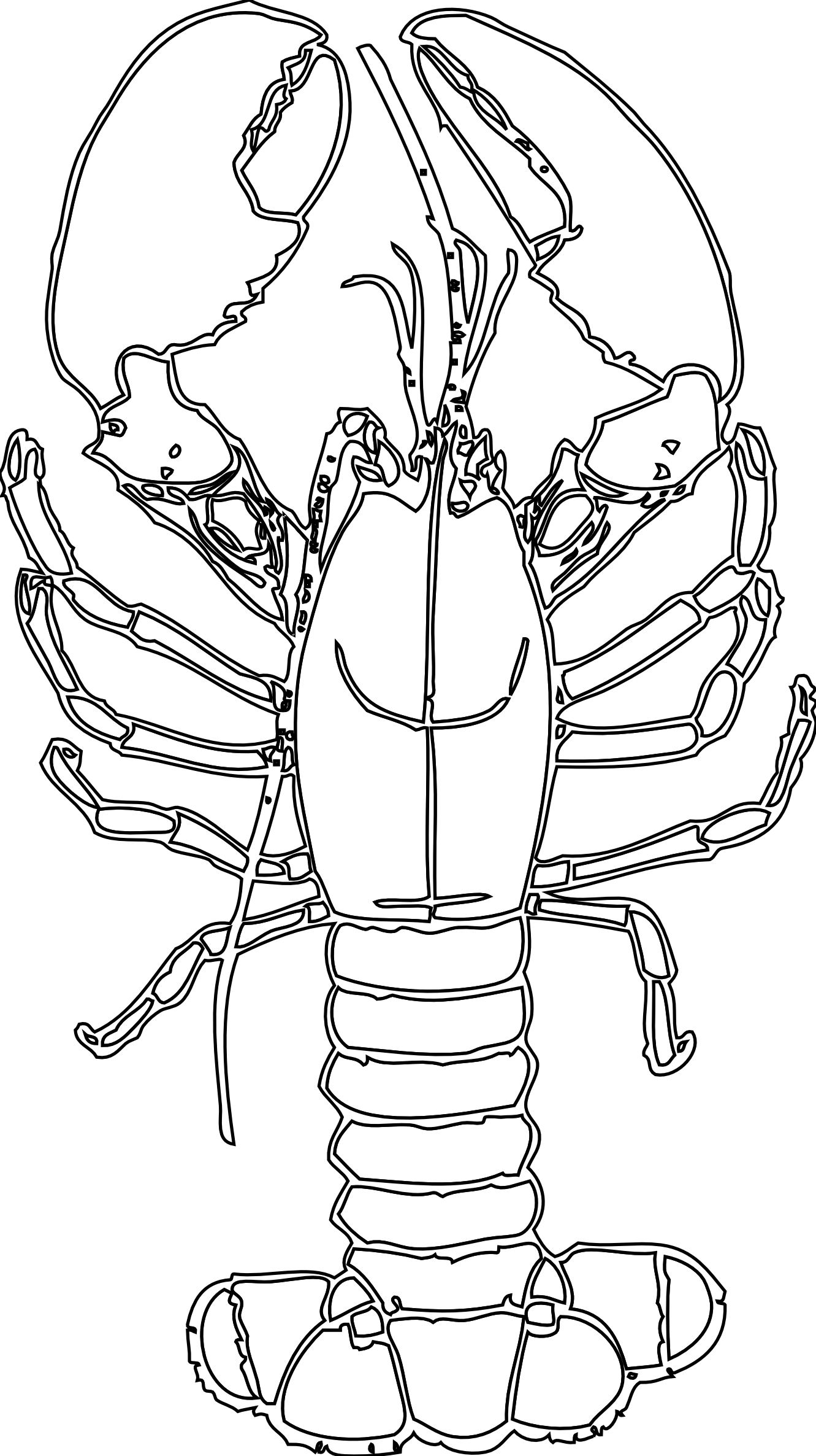 1331x2372 Lobster Coloring Pages Games Being A Teacher