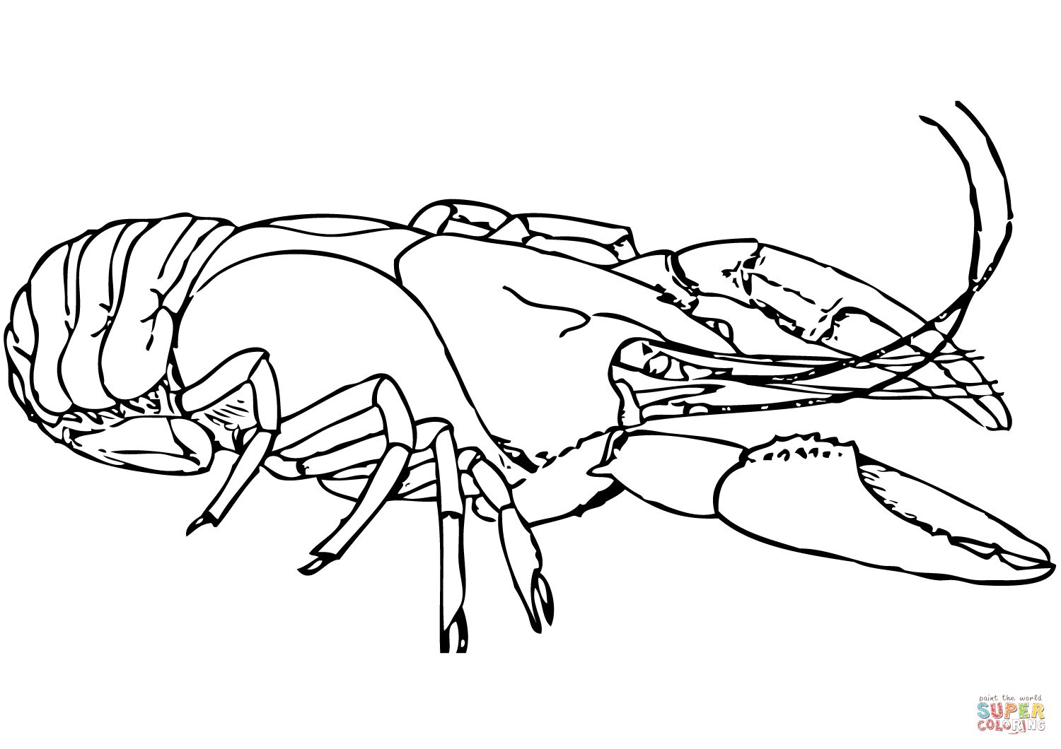 1500x1060 Expert Crayfish Coloring Page American Lobster Free Printable