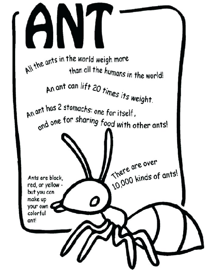 700x889 Ants Coloring Pages Ant Coloring Page Ants On A Log Coloring Pages