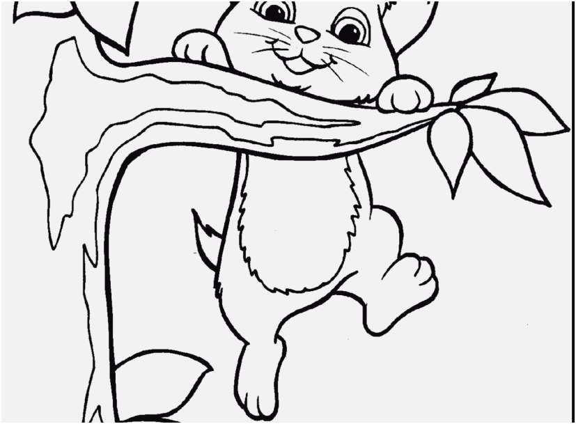 827x609 Lol Doll Coloring Pages Photo New Baby Kittens Coloring Pages