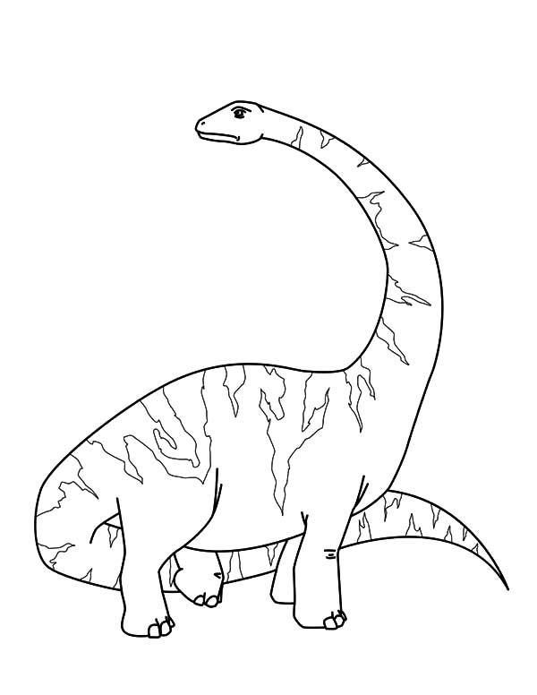 600x776 Diplodocus Long Neck Coloring Pages