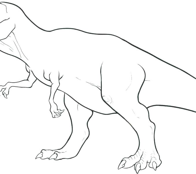 678x600 Long Neck Dinosaur Colouring Page
