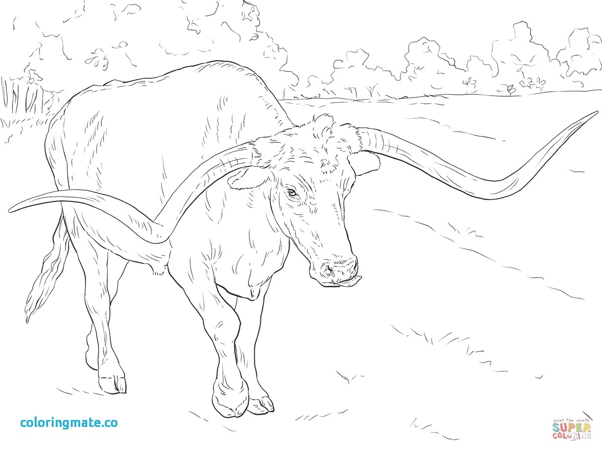 1200x900 Texas Coloring Pages Best Of Texas Flag Coloring Page A Free