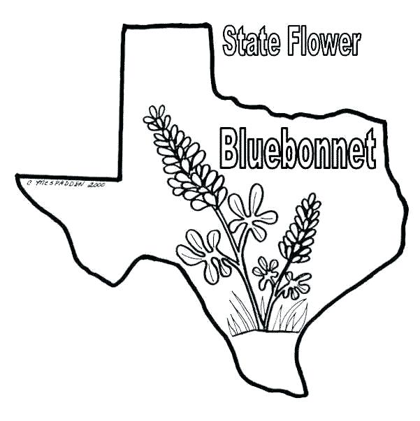 601x603 Tx Flag Coloring Page Longhorn Coloring Sheet Longhorns Coloring P