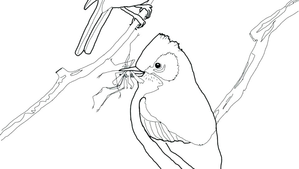 960x544 Loon Coloring Page Coloring Pages Of Ba Hot Air Balloon Coloring