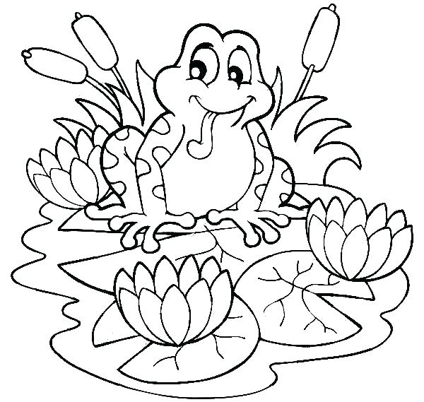 600x569 Frog Color Pages Coloring Pages Of Frogs Coloring Pages Of Frogs