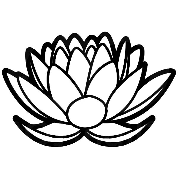 600x627 Lotus Coloring Pages