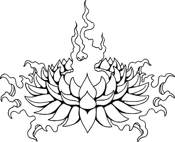 600x490 Lotus Flower Coloring Page
