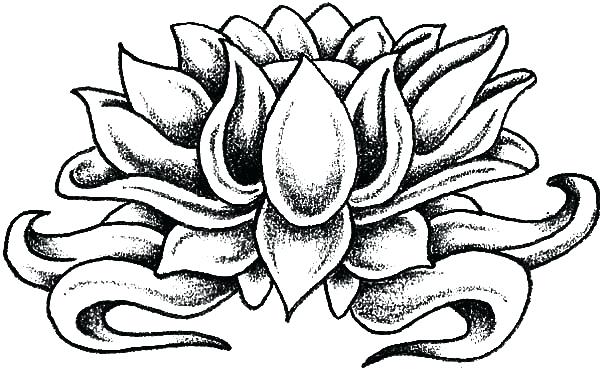 600x370 Coloring Pages Of Flowers Plus Lotus Flower Art Coloring Pages