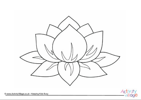 460x327 Lotus Flower Colouring Page