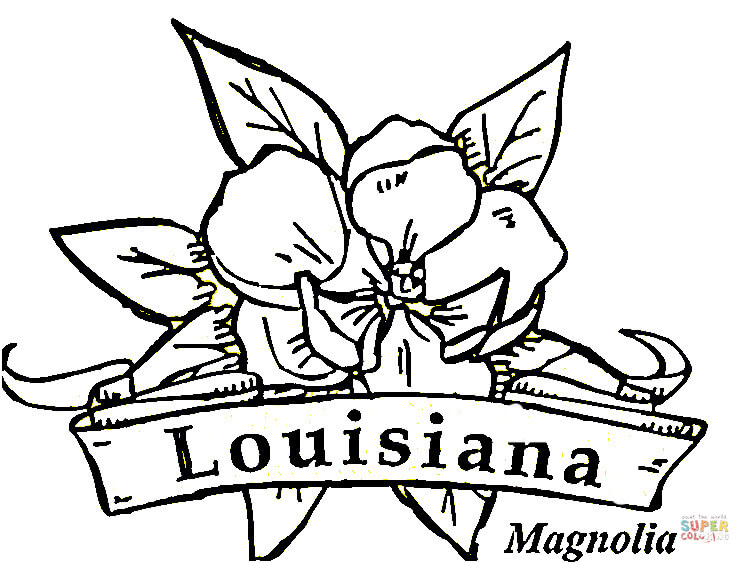 750x563 Louisiana Flowers Coloring Page Free Printable Coloring Pages