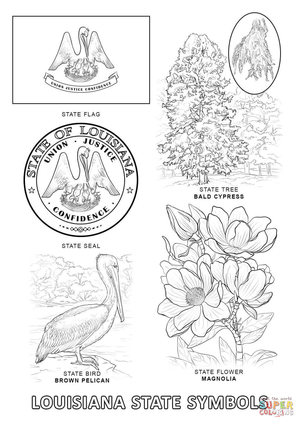 1020x1440 Free State Coloring Pages