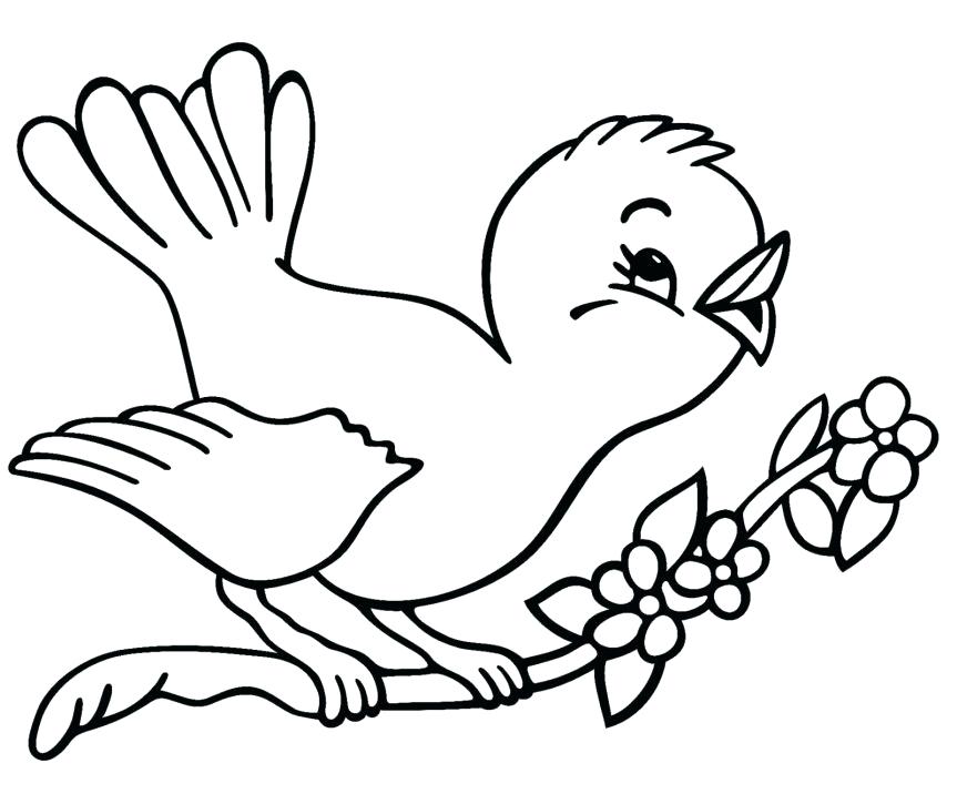 863x716 Cardinal Coloring Pages Coloring Pages Winter Birds Coloring Pages