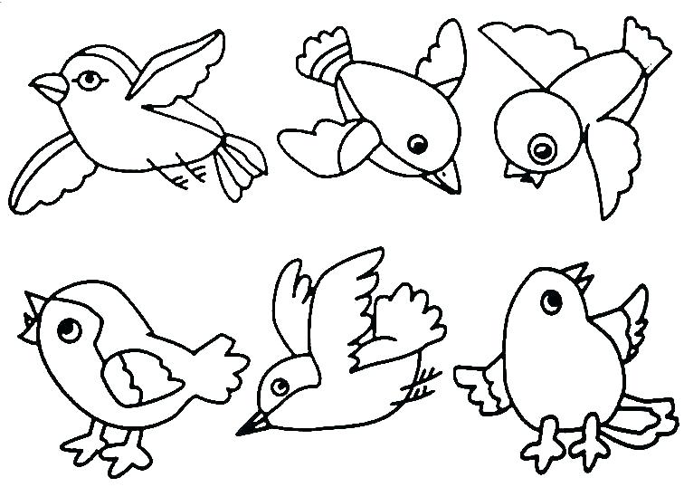 756x538 Female Cardinal Coloring Page How To Draw A Bird Pages Wesmec Site
