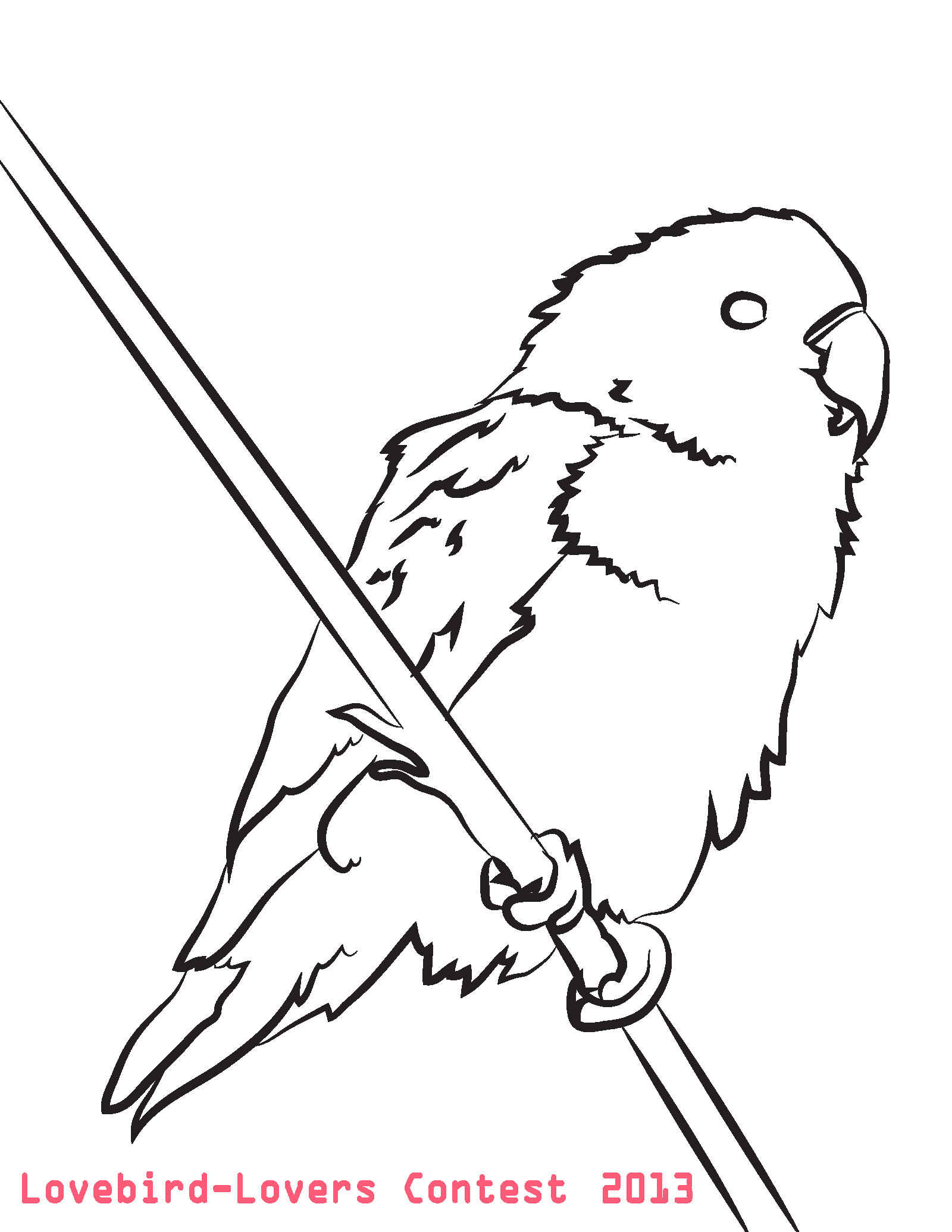 1600x2071 Love Bird Coloring Pages Birds And Ring Page Vitlt Com Ripping Acpra