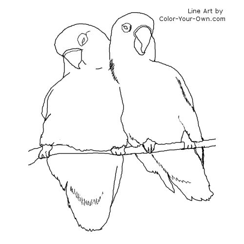 500x500 Love Birds Coloring Page