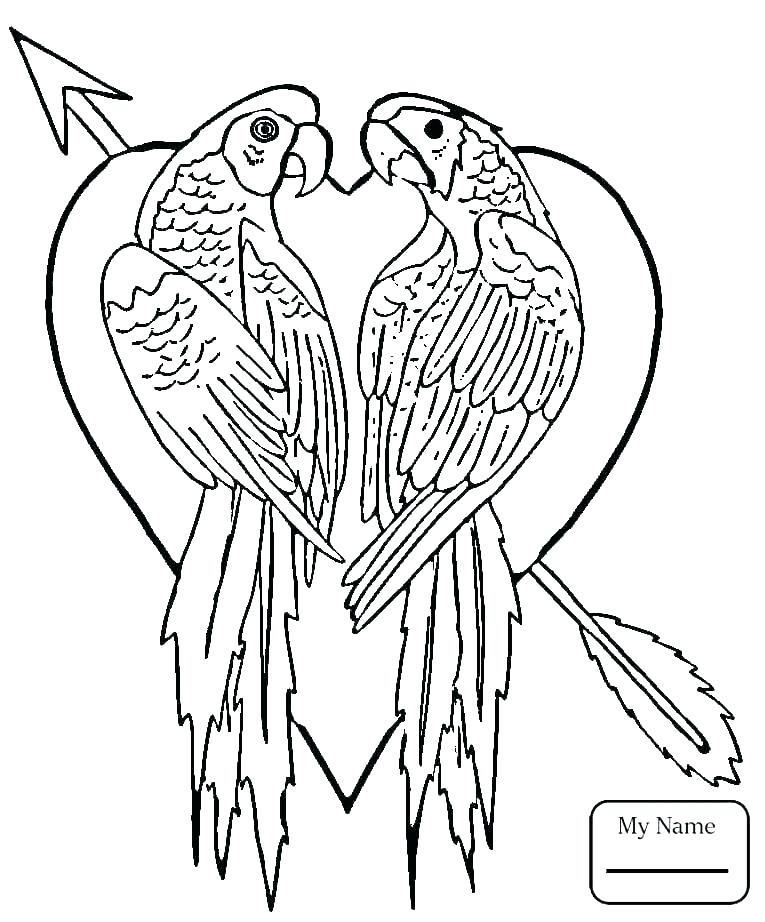 765x922 Love Birds Coloring Pages Birds Coloring Page Trend Love Bird
