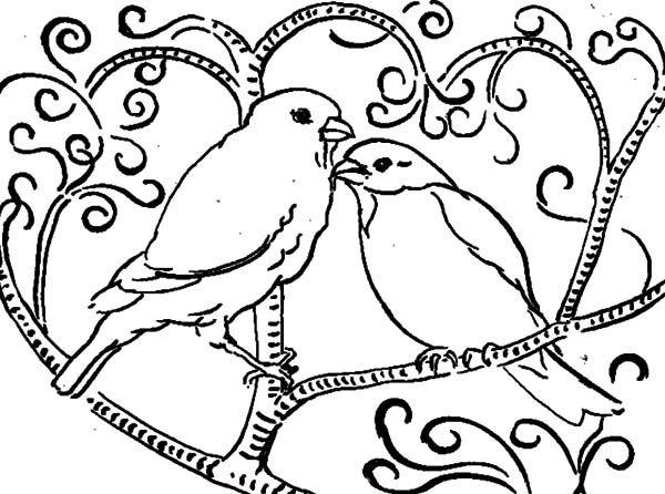 600x446 Coloring Pages Of Birds