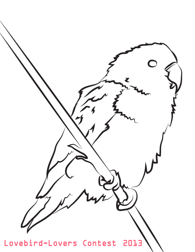 786x1017 Lovebird Coloring Page