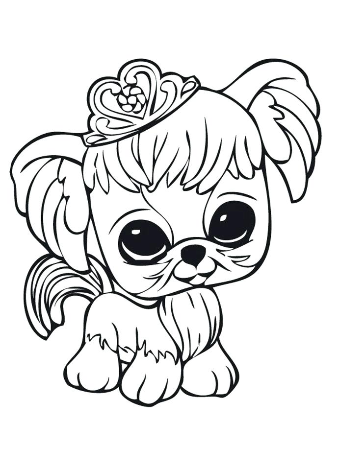 691x960 As Well As Free Littlest Pet Shop Printable Coloring Pages Enjoy