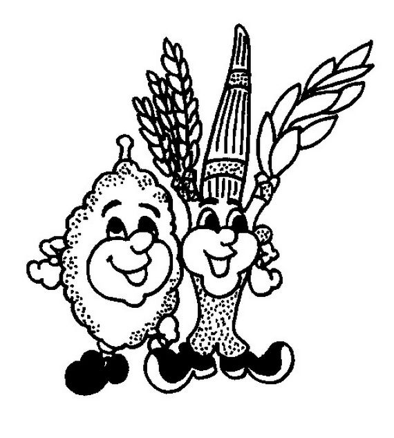 570x633 Sukkot Is One Of The Most Important Jewish Holidays, Sukkot