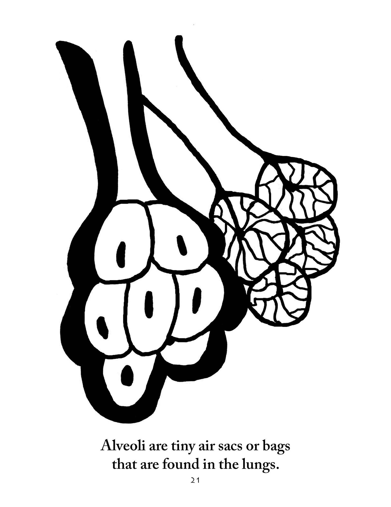 1583x2048 Anatomy Coloring Pages