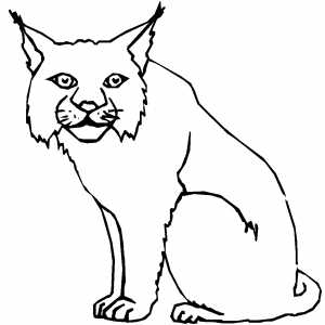 300x300 Lynx Coloring Page