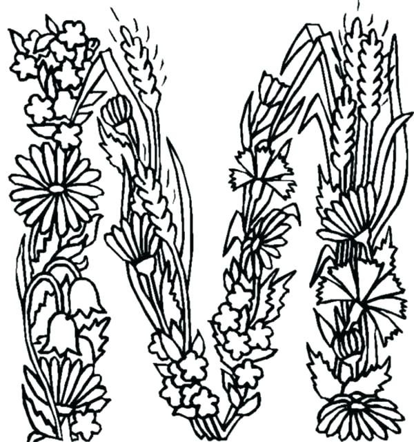 600x641 M Coloring Page Writing Cursive M Coloring Page Alphabet Flowers