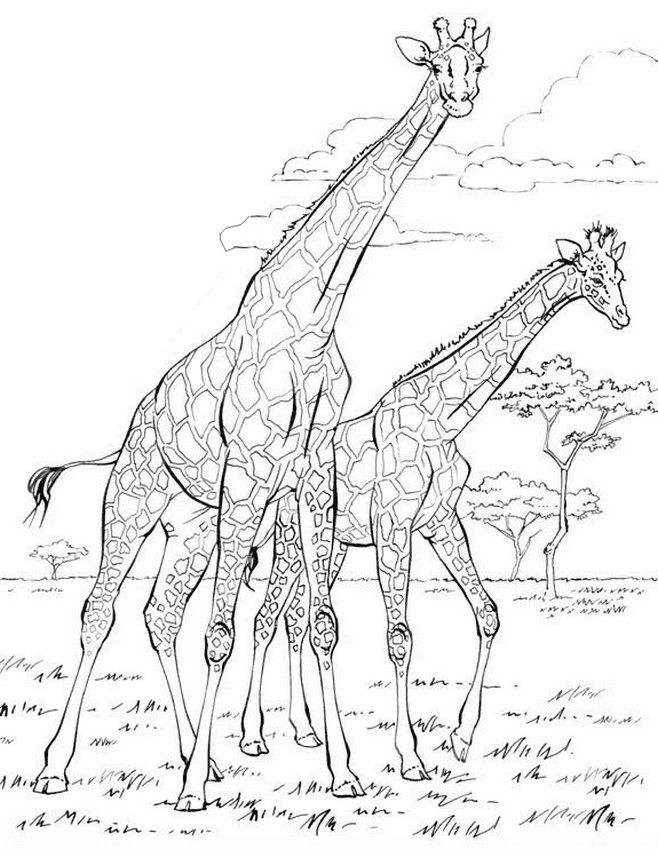 658x850 Afro Mulheres Draw, Stress