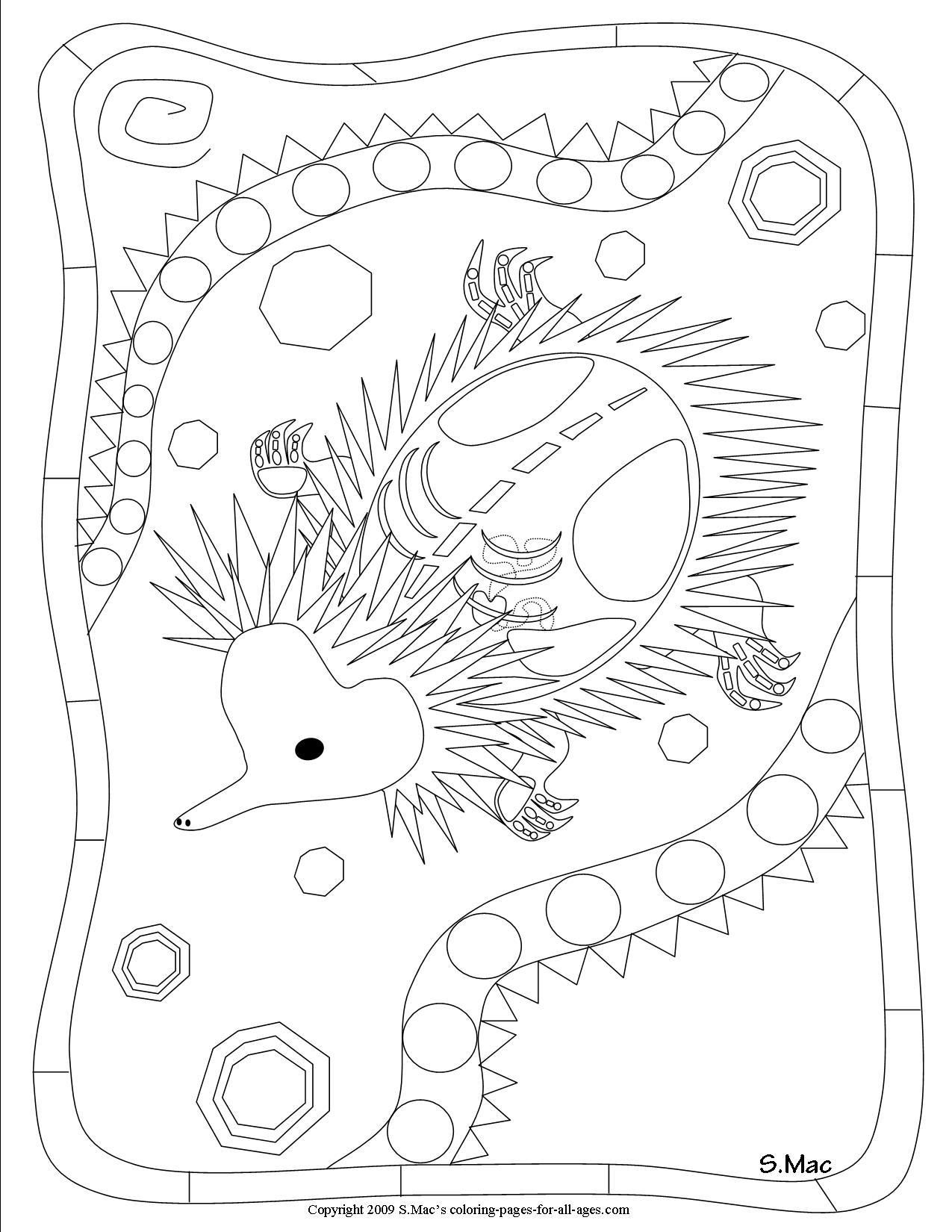 1275x1650 S Mac's Echidna X Ray Art Coloring Page Art Australian Art