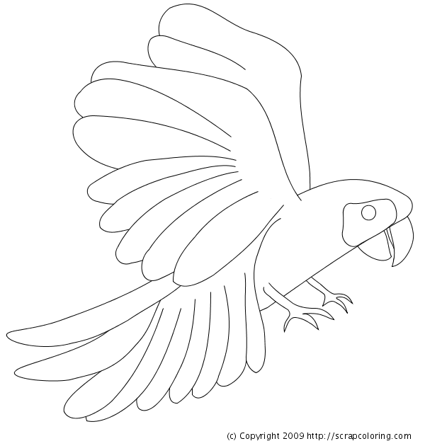 600x630 Macaw Coloring Page