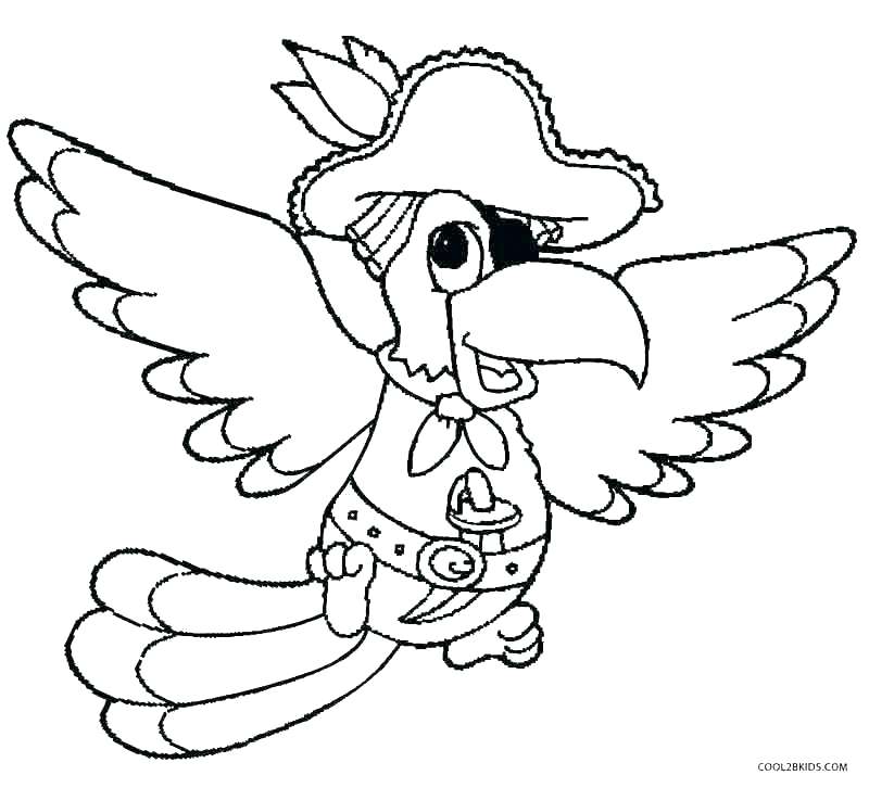 800x726 Two Scarlet Macaws Coloring Page Free Printable Coloring Pages Two