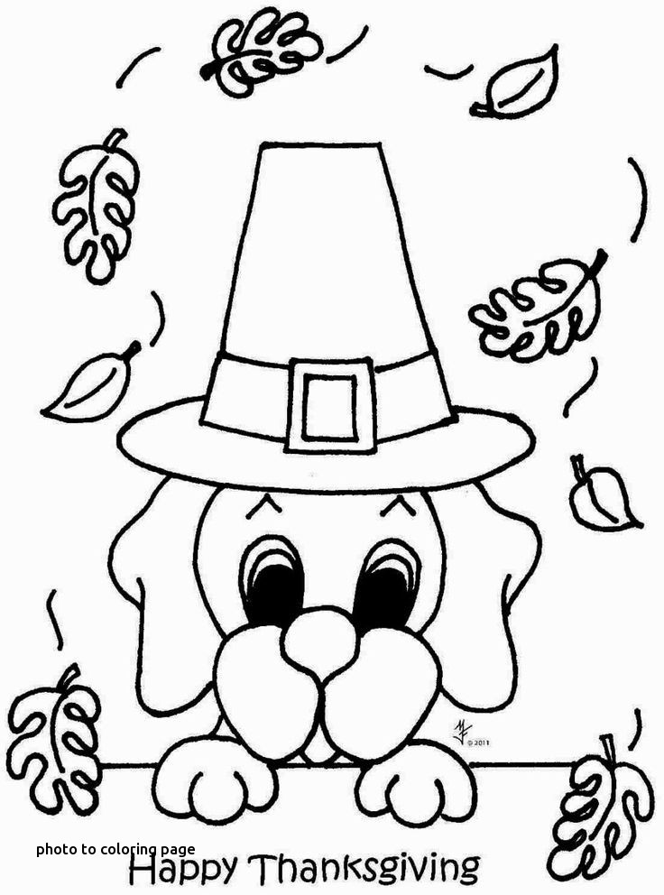 736x992 Madison Coloring Pages Lovely Best Coloring Kids Halloween