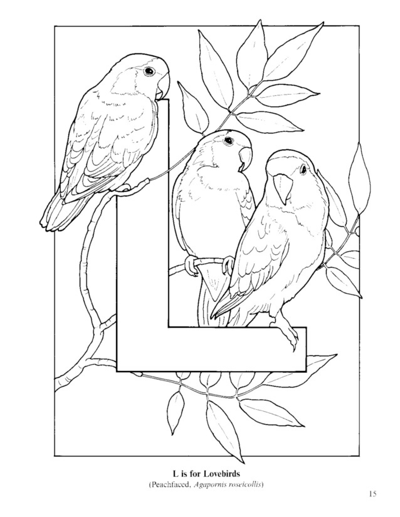 1276x1650 Bird Alphabet Coloring Pages Coloring Pages For Kids