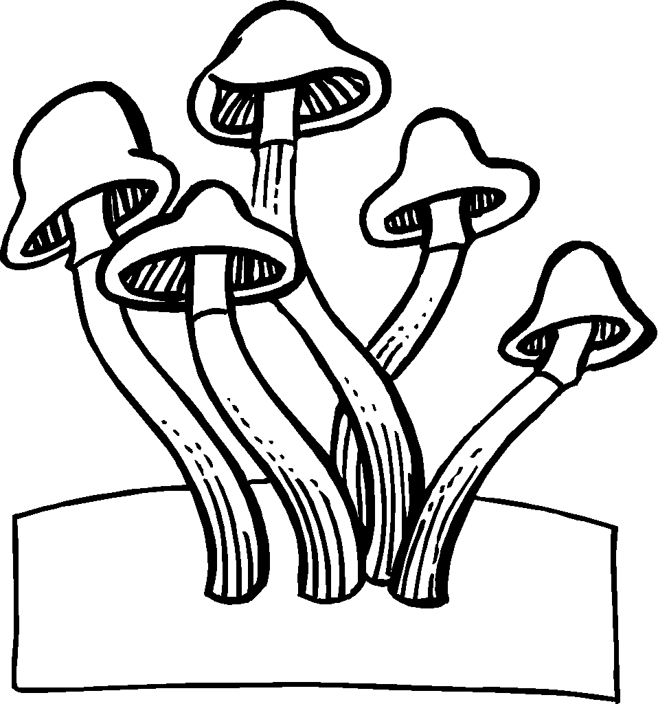 958x1024 Magic Mushroom Coloring Pages