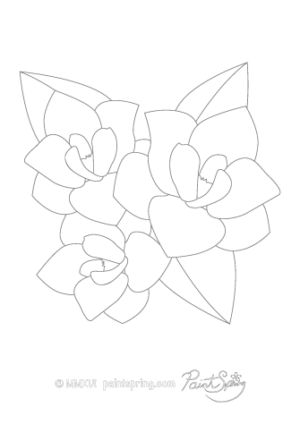 335x474 Printable Flower Adult Coloring Book {get Free Pages}