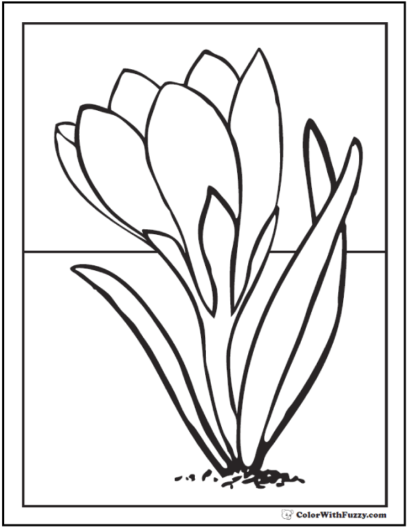 590x762 Spring Flowers Coloring Page Customizable Printables
