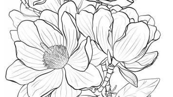 355x200 Trap Team Coloring Pages Free Coloring For Kids