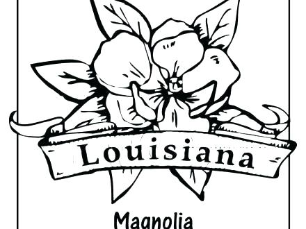440x330 Magnolia Flower Coloring Pages