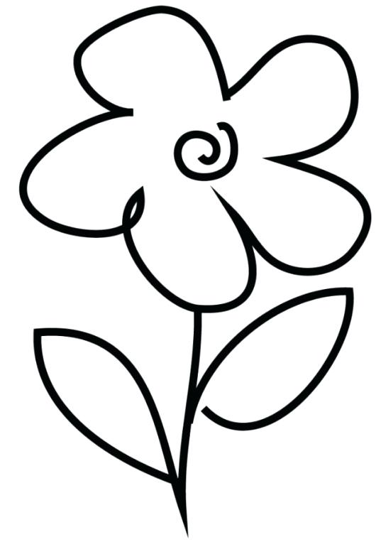530x763 Flower Color Sheet Easy Flower Coloring Pages Google Magnolia