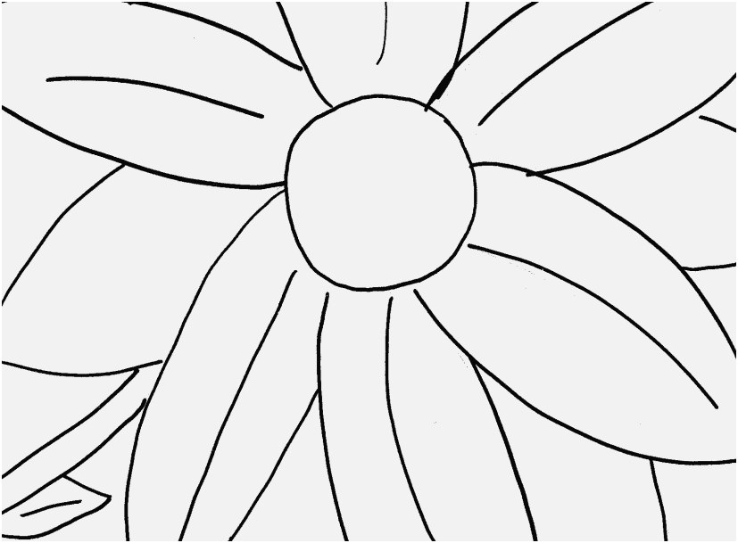 827x609 The Ideal Pictures Coloring Of Flower Wonderful