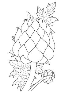225x300 Campbells Magnolia Pattern Coloring Page