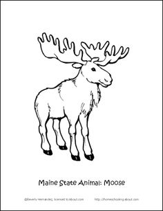 236x305 State Of Maine Coloring Page Select An Image, Print, And Color